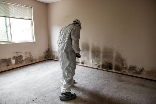 Best Residential Mold Removal  in Union Point, GA